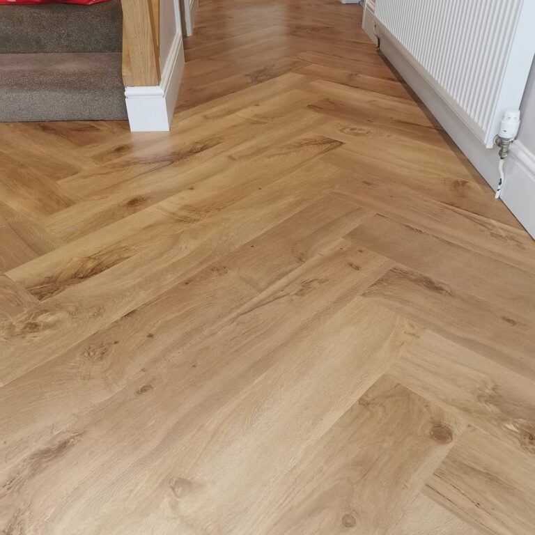 WhatsApp Image 2026-02-23 at 18.29